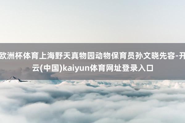 欧洲杯体育上海野天真物园动物保育员孙文晓先容-开云(中国)kaiyun体育网址登录入口
