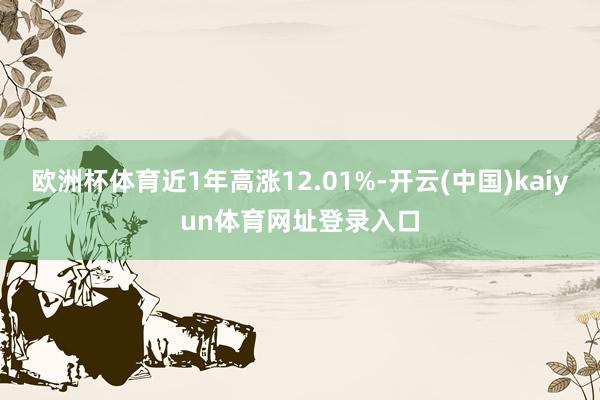 欧洲杯体育近1年高涨12.01%-开云(中国)kaiyun体育网址登录入口